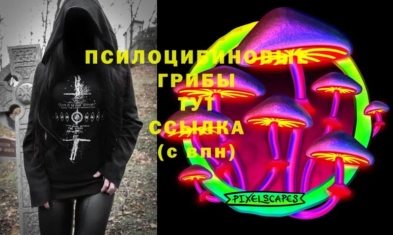 Псилоцибиновые грибы Magic Shrooms  Козельск 